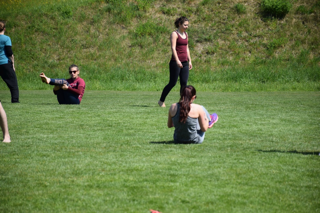 Bild 1 (41)